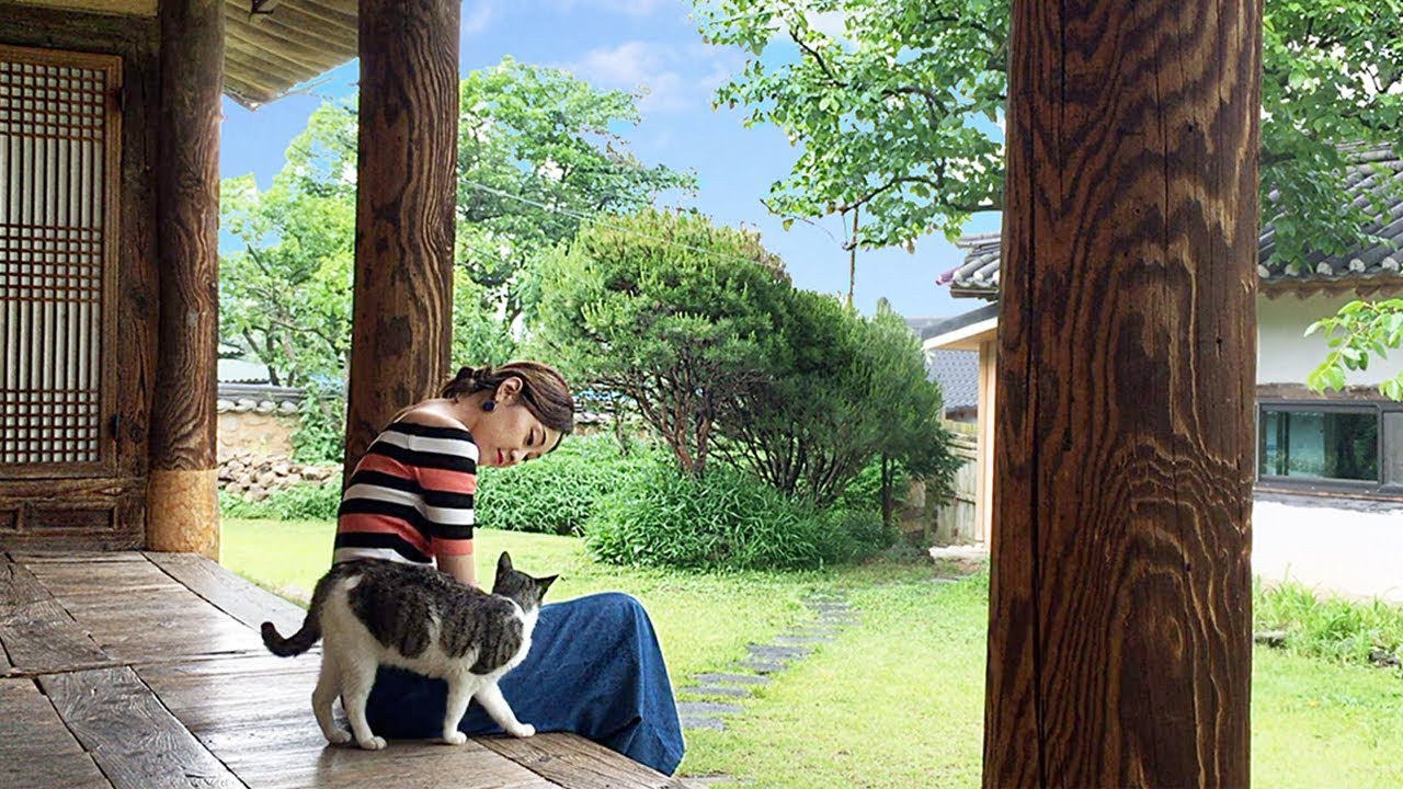 100년 된 한옥집에서 혼자 하루 숙박해봤다. ft.개냥이