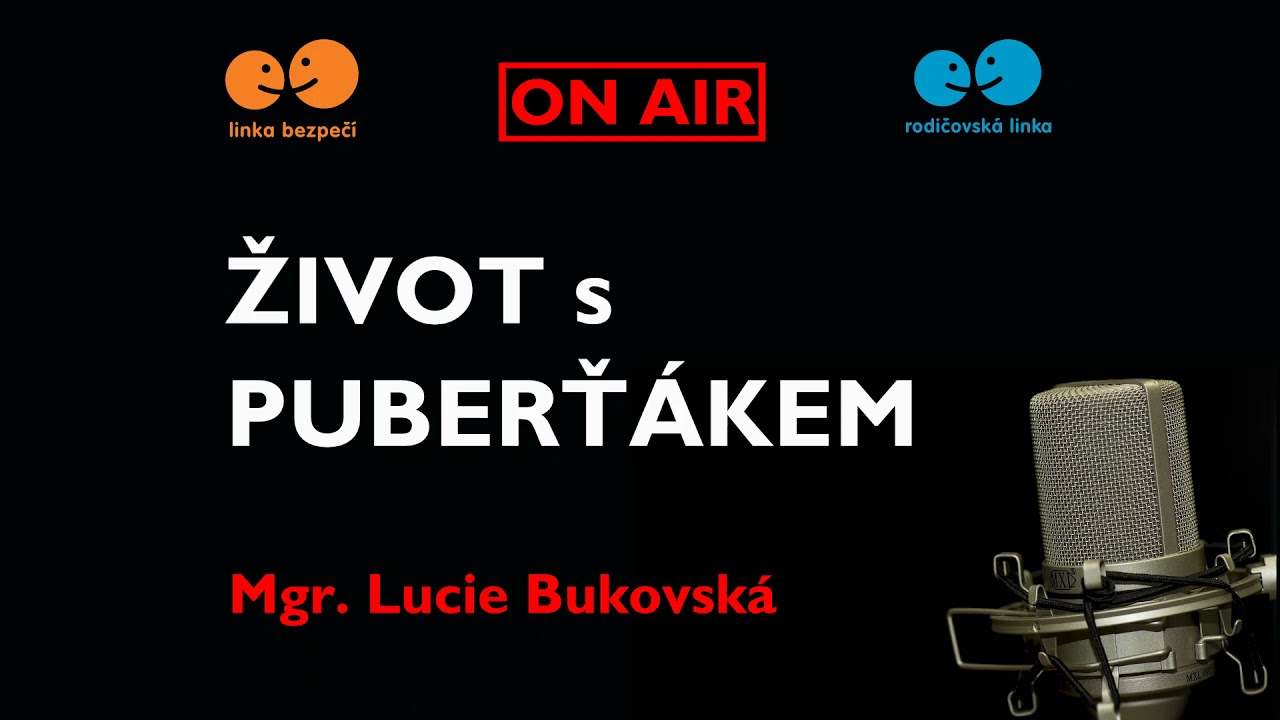 Život s puberťákem