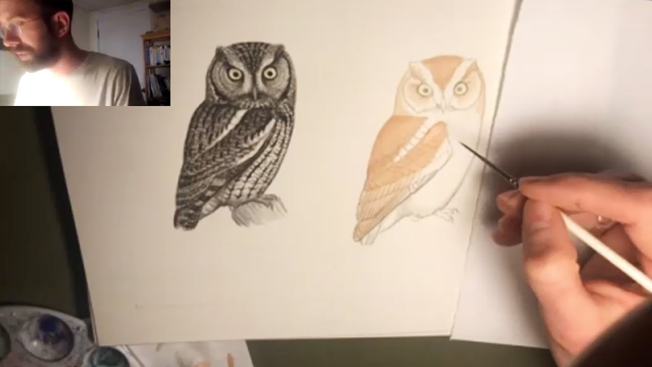 Science & Art Workshop #2: Bryce Robinson / Scientific Illustration