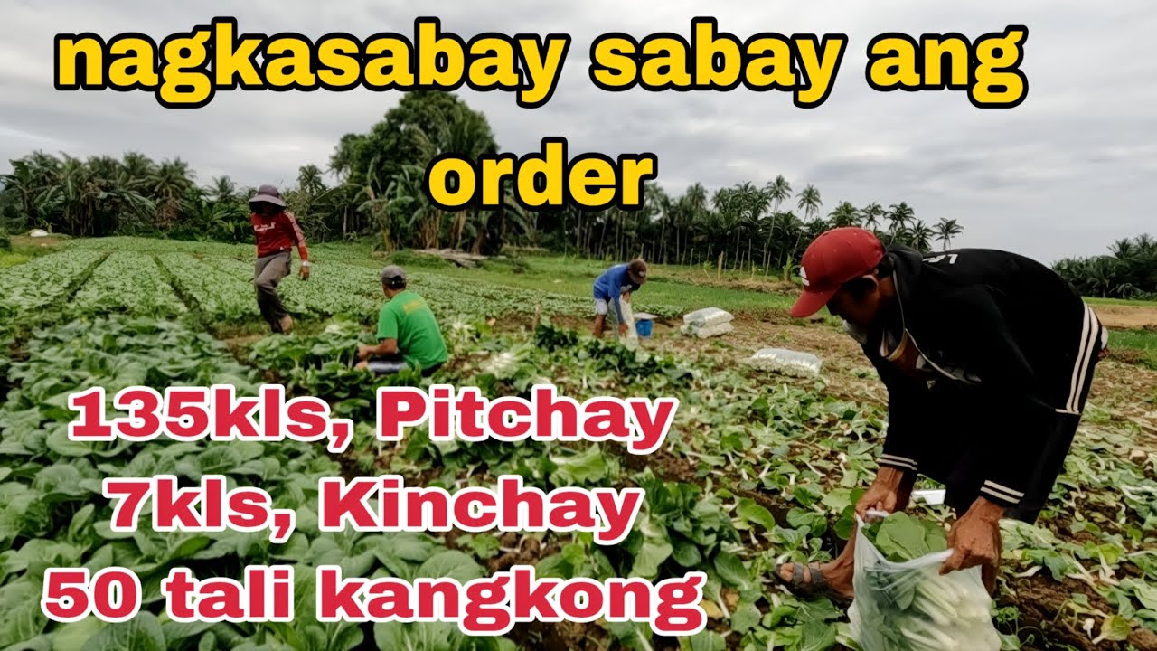 Sabay sabay ang order   ng mga gulay