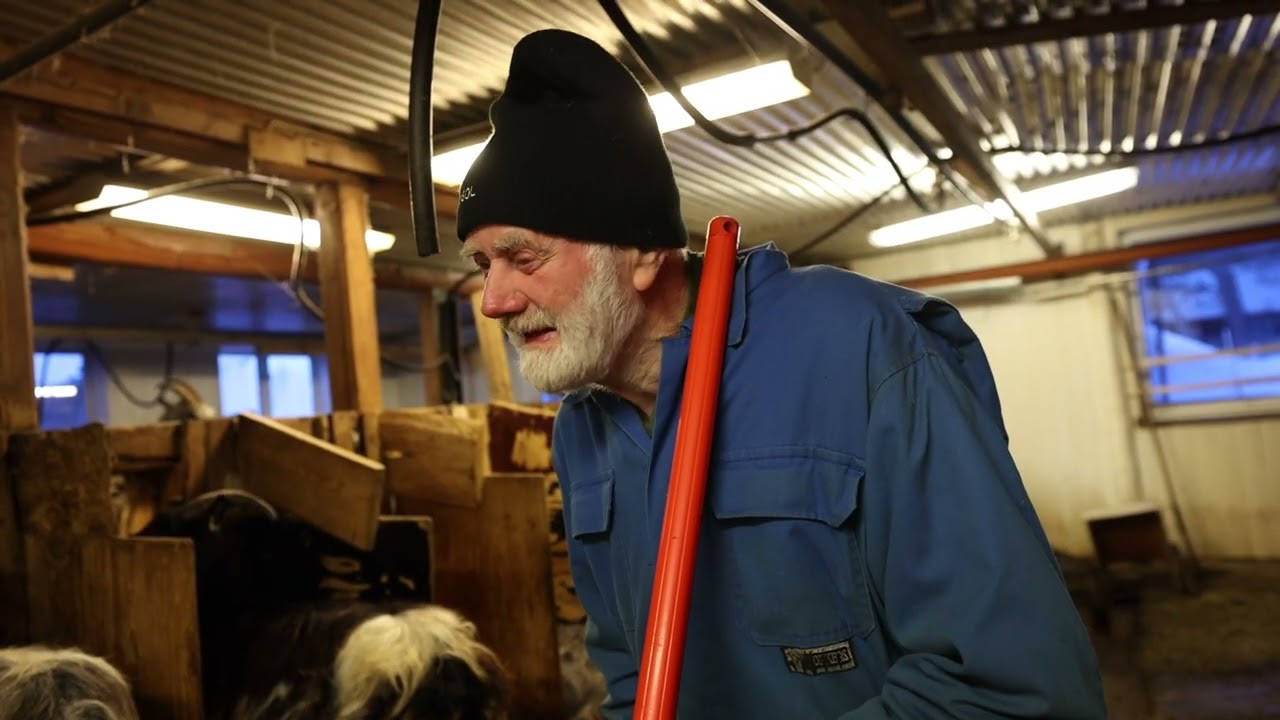 Alf Wagenius–fjällbonde och mejerist