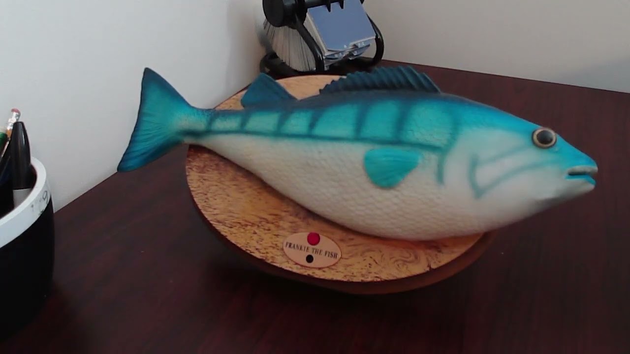 The Quickview Ep. 3 Frankie the Fish