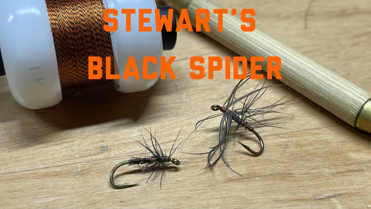 Stewart’s Black Spider