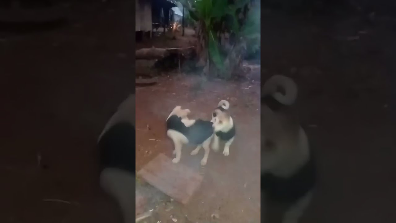 “About Our Channel: Easy Farm DIY – Grow All Vegetables at Home 🌱