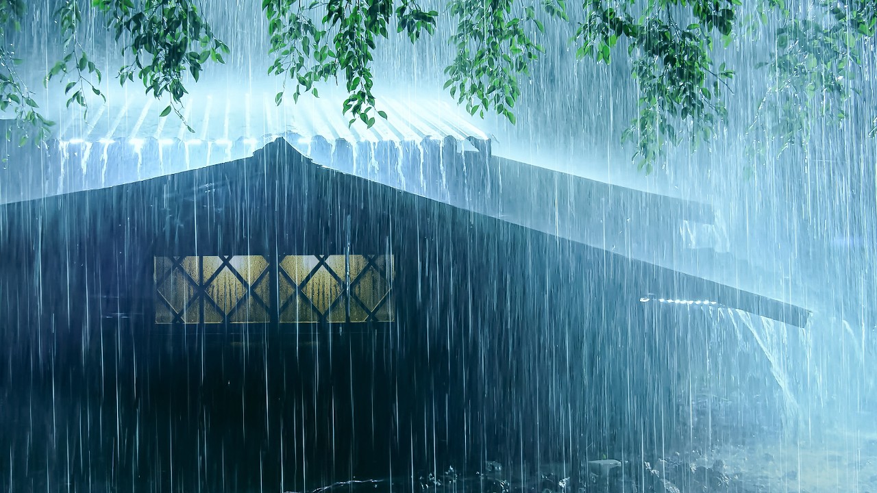 Wonderful Deep Sleep with Torrential Rain on Tin Roof & Strong Thunder on Rainy Night | White Noise