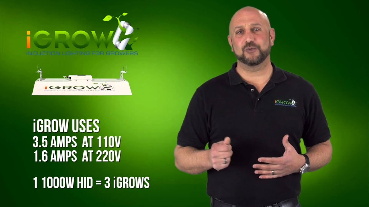 How to Optimize trichome development