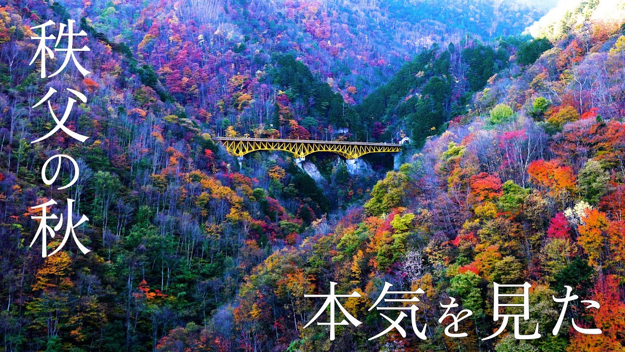 今が見頃！秩父の絶景紅葉スポット巡り｜三峯神社から長瀞ライトアップまで一挙紹介！Exploring the Stunning Autumn Foliage Spots in Chichibu