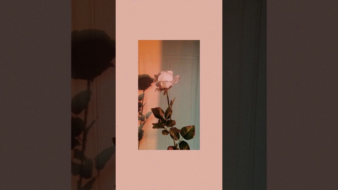 Sanah - melodia (slowed down)