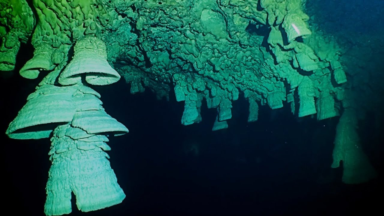 Diving The Hells Bells Cenote (Cenote Zapote) (Most Amazing)