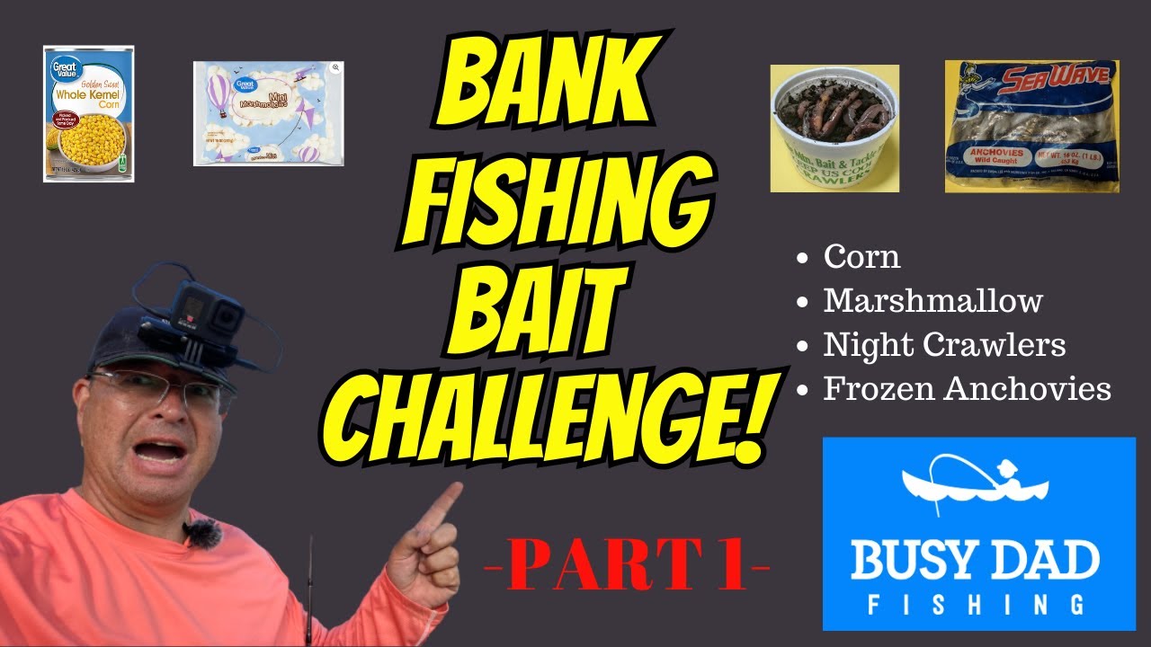 Bank Fishing Bait Challenge | Lake Mead Water Level