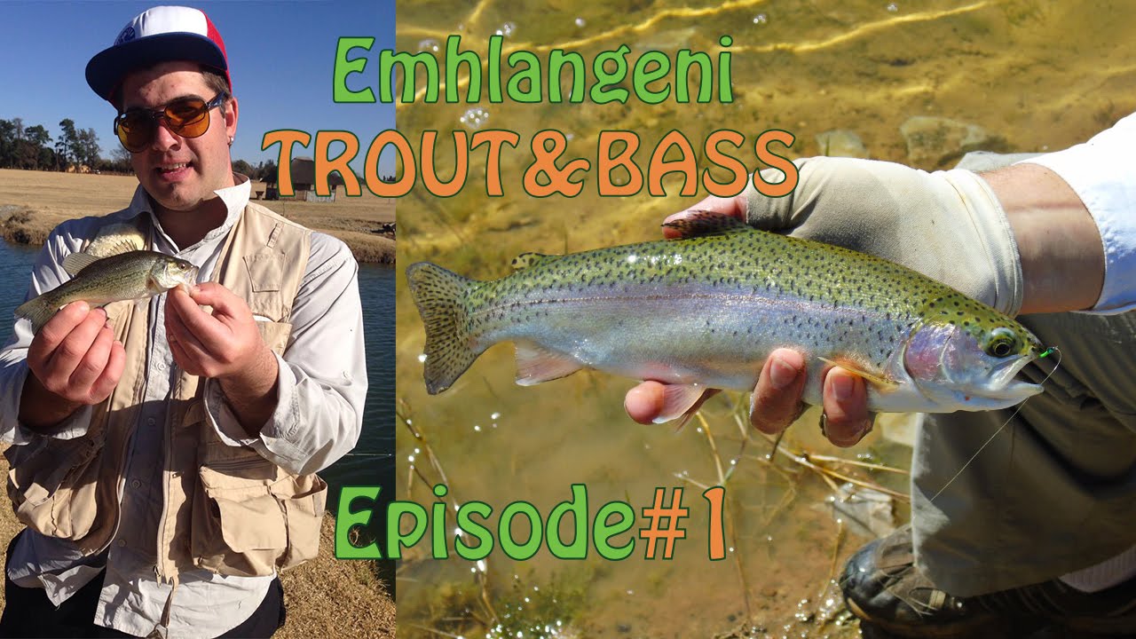 Emhlangeni Trout Farm | Fly Fishing For Trout In Gauteng | Fish The Fly