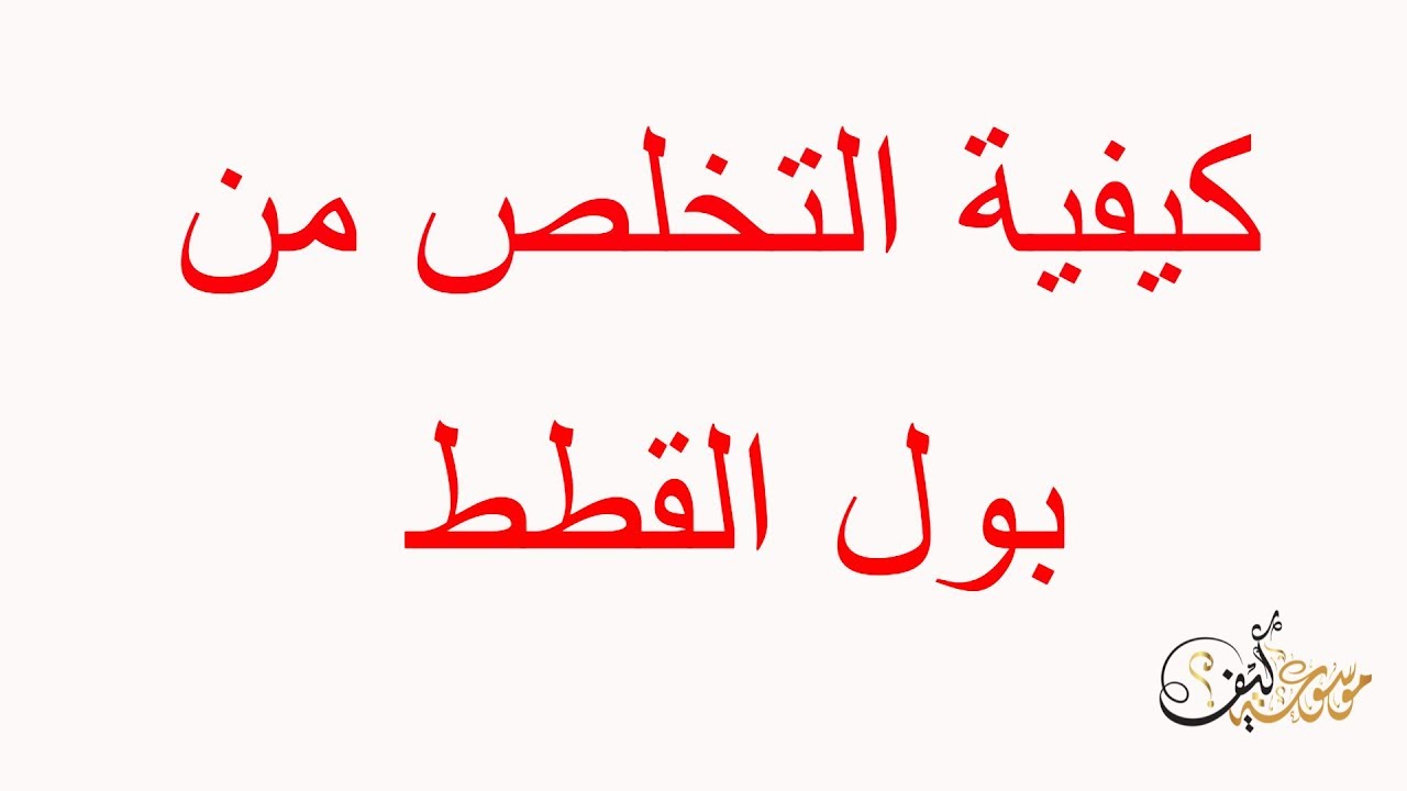 كيفية التخلص من بقعة ورائحة بول القط أو القطط و إزالتها عن الموكيت و السجاد و الكنب