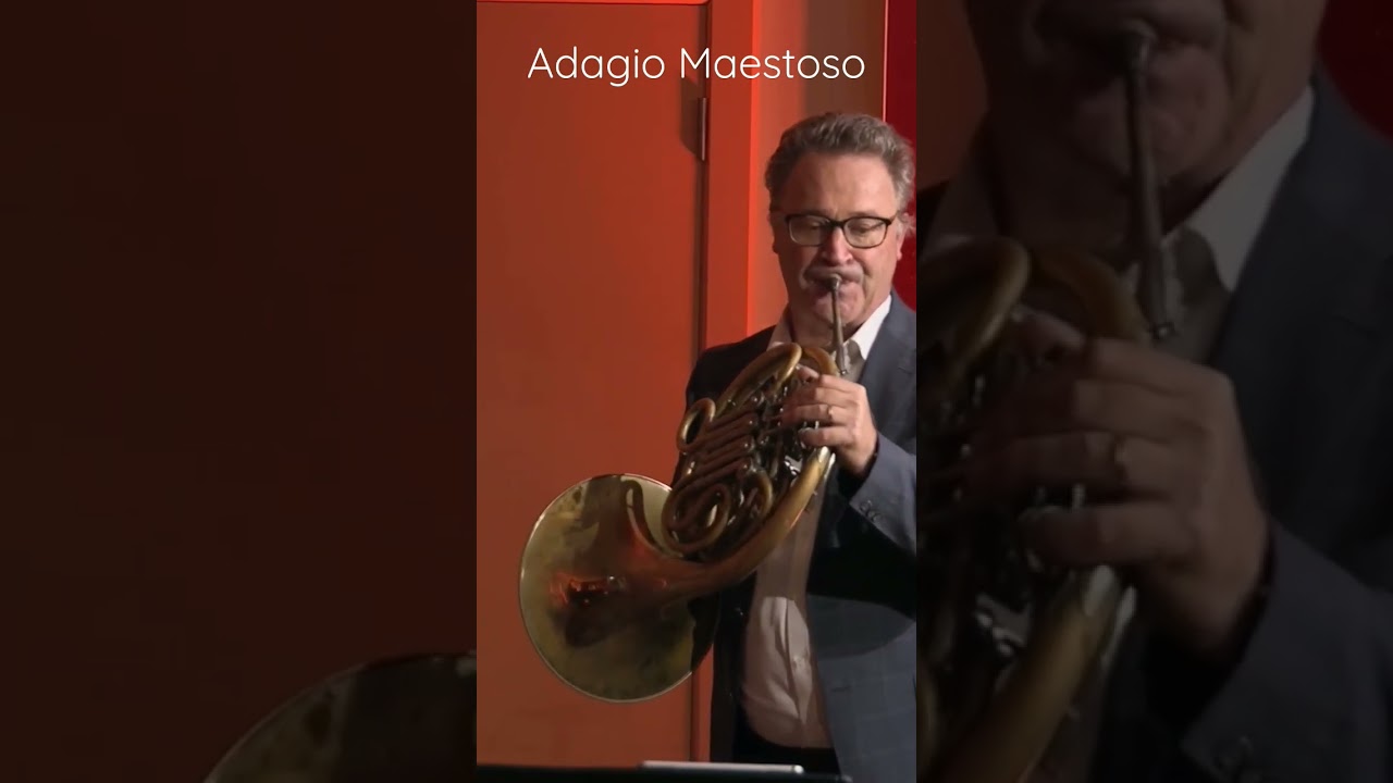 Majestic Sound of French Horn 