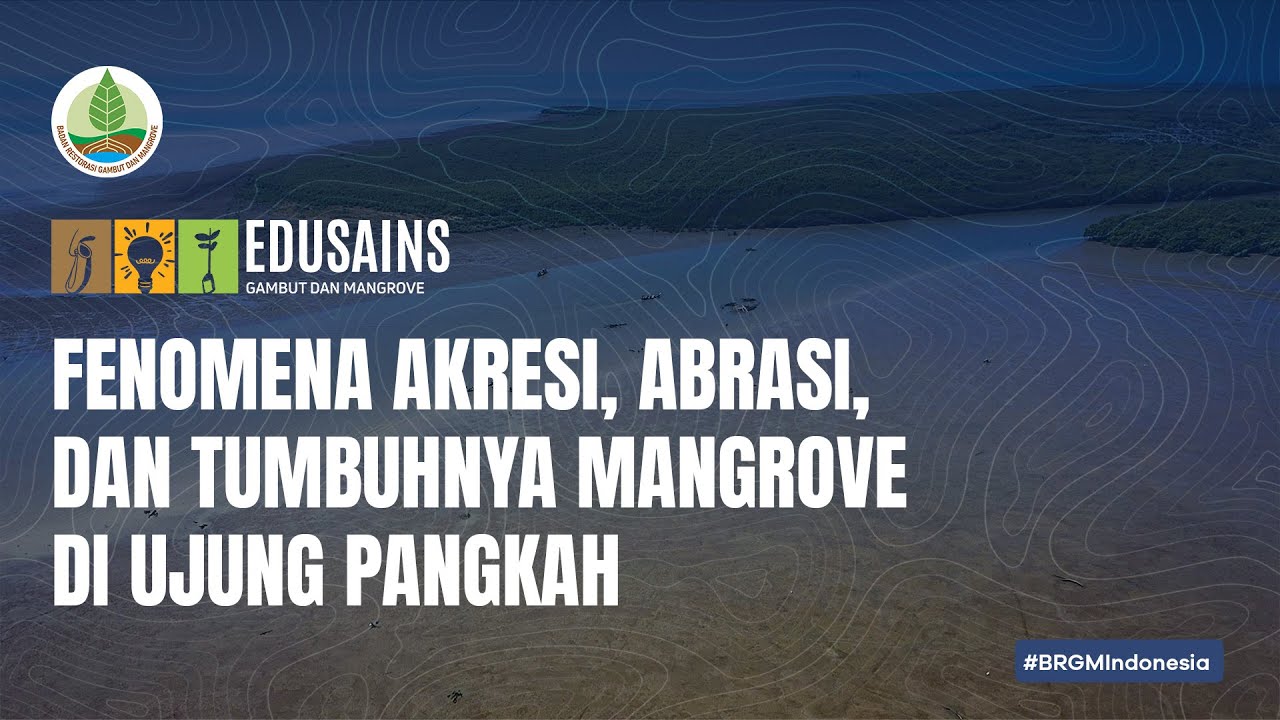 #Edusains4 -  Fenomena Akresi, Abrasi dan Tumbuhnya Mangrove di Ujung Pangkah