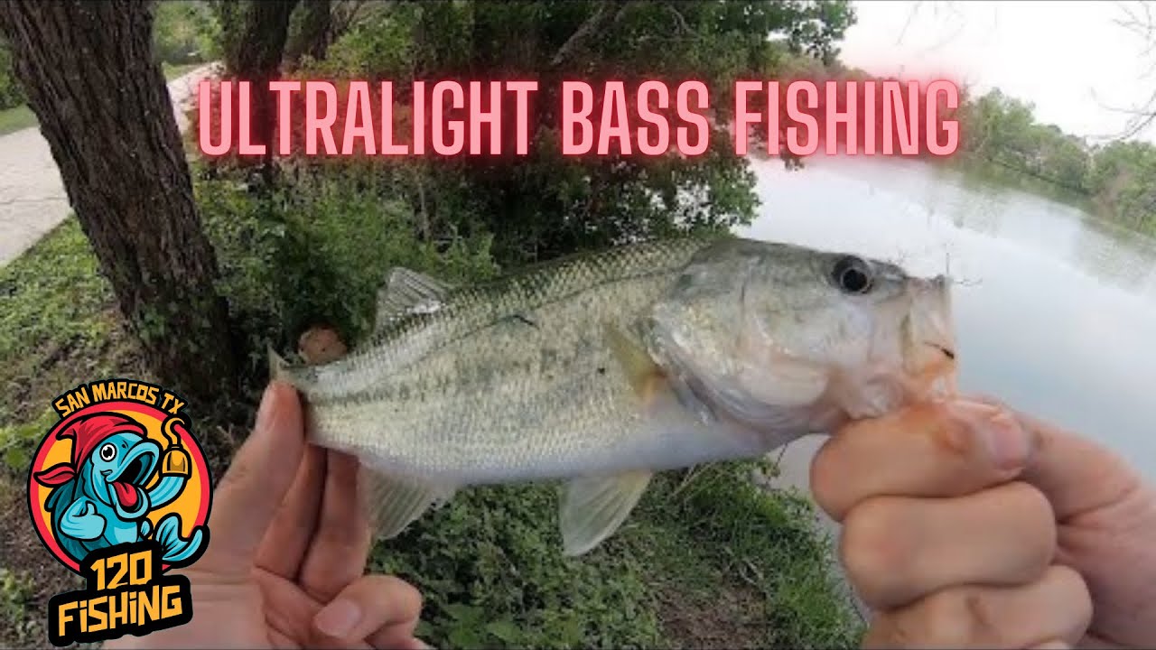 Ultra Light Bass Fishing - Fischer Park ( New Braunfels Texas )