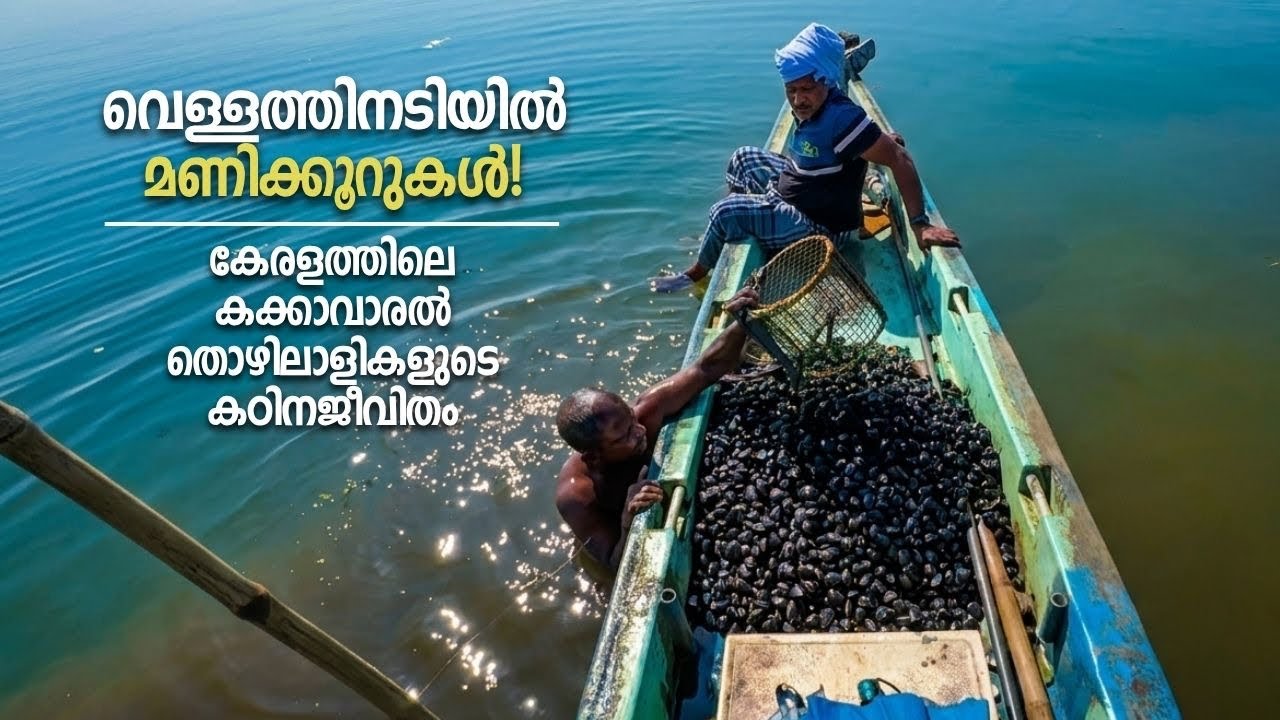 ഇങ്ങനെയും മനുഷ്യർ ഈ കേരളത്തിൽ ജീവിക്കുന്നുണ്ട്! The harsh life of cockle collectors in Alappuzha