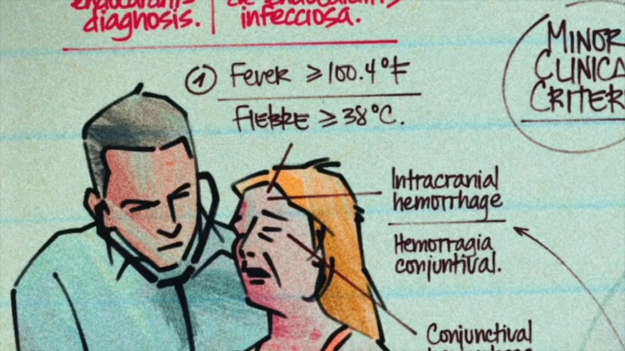 ¿Cómo diagnosticamos una endocarditis infecciosa?