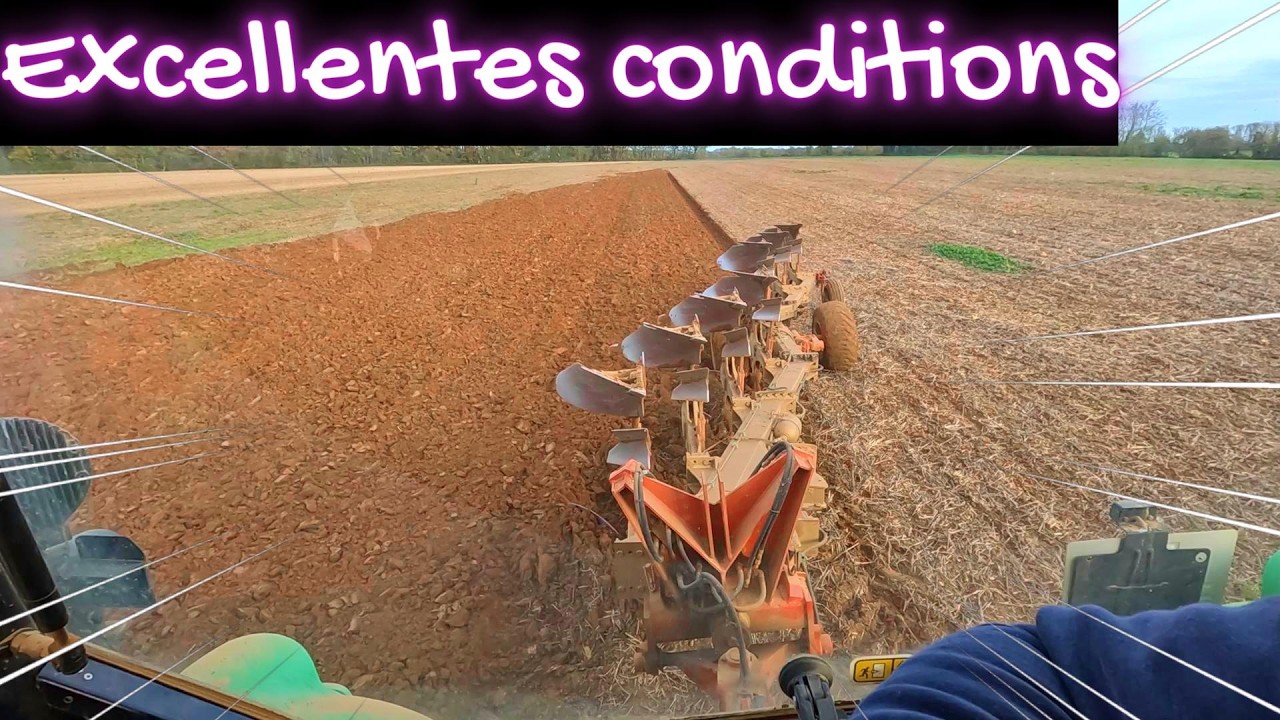 DESTRUCTION COLZA - 2025