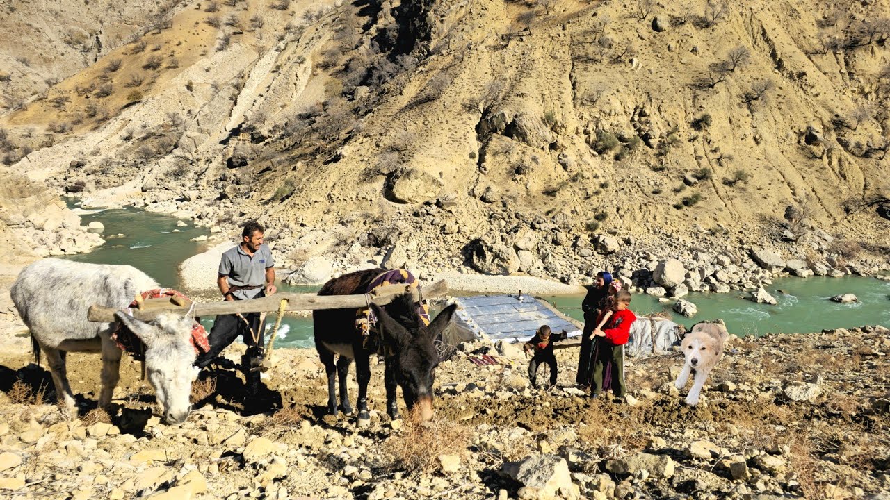 🥇 🌄🐴 Nomadic life | Cultivating crops with donkeys in the mountains