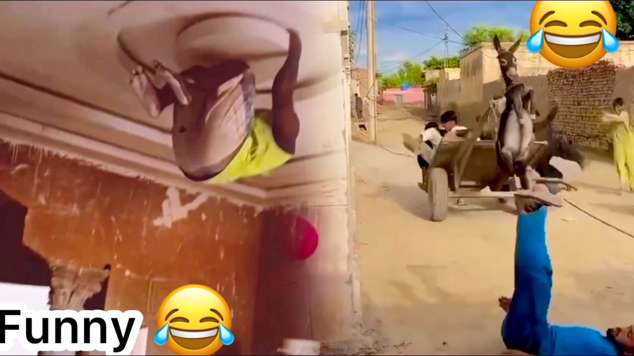 Craziest funniest video ever in the world 😂Episode 24