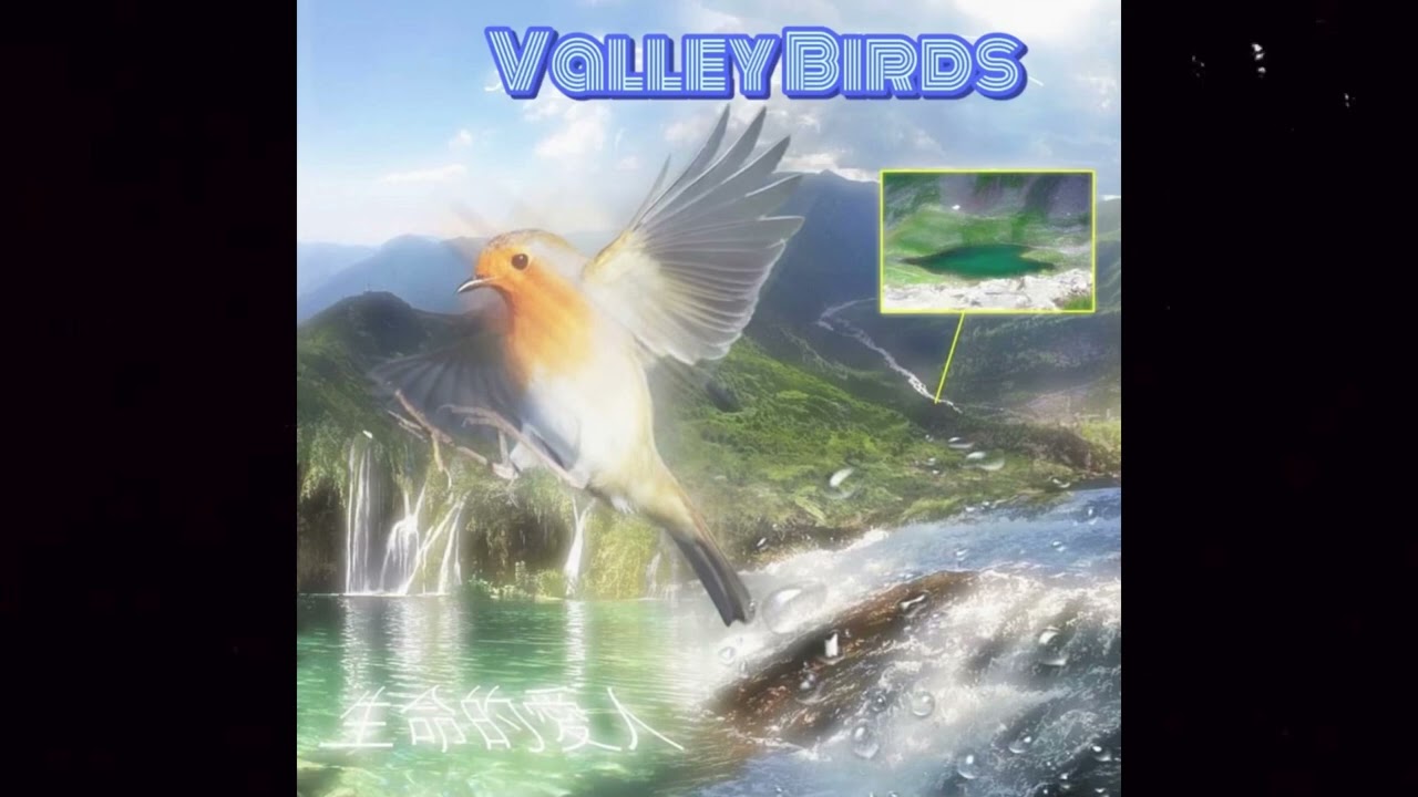 *Free* Loop Kit "Valley Birds" (Bladee, Yung Lean, Whitearmor, Draingang)