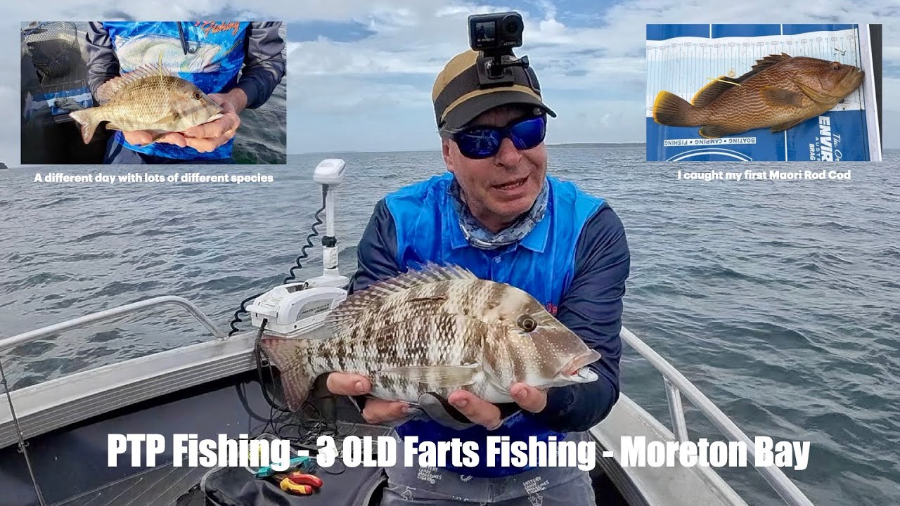PTP Fishing - Рыбалка от 3 Old Farts - залив Мортон