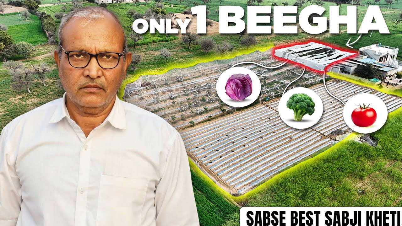 1 बीघा में Intercroping vegetable farming – खर्च कम, मुनाफा डबल! | Explorersathi 