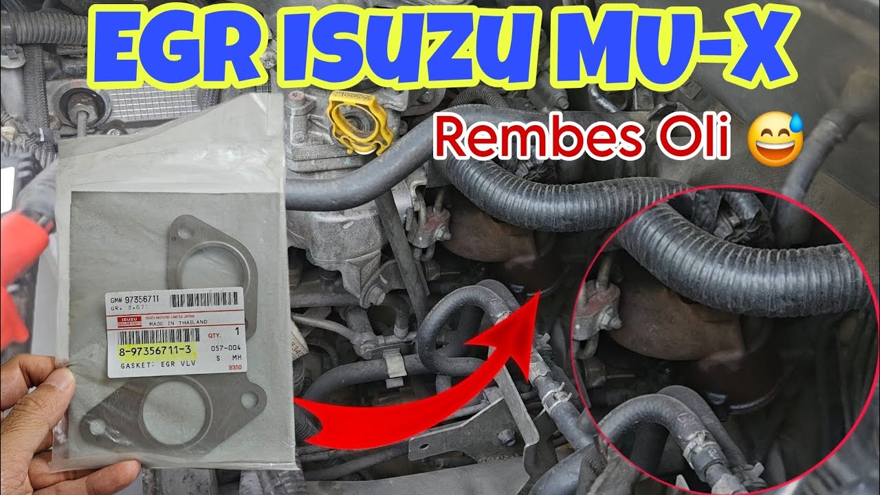 EGR Isuzu Mu-X bermasalah (feat. Bengkel Protuning): Rembes oli dan lampu Check Engine menyala 😪