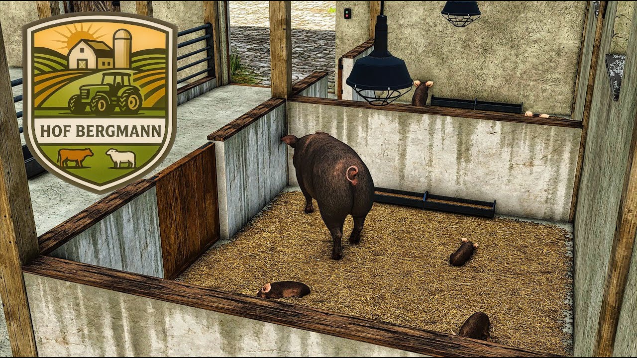 LS25 | Sommer-UPDATE HOF BERGMANN 1.2.0.0. FERKELAUFZUCHT