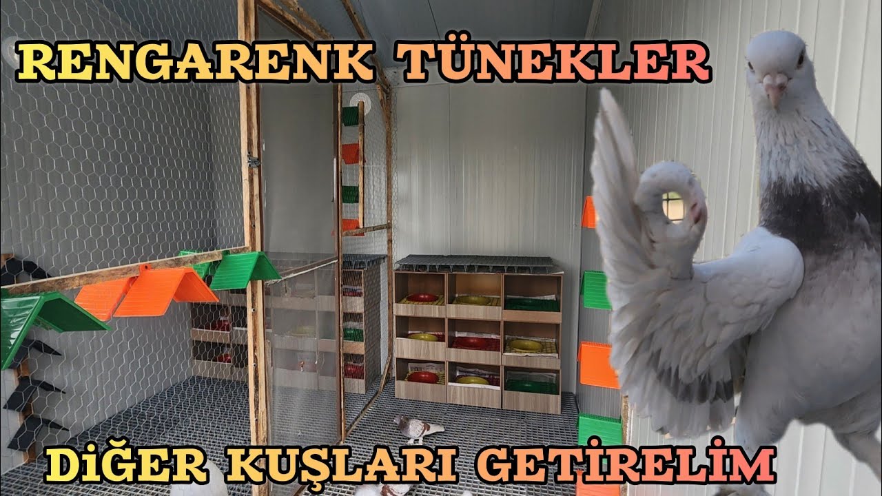 K&uuml;mesimize Yeni Malzemeler Aldık &Ccedil;ok G&uuml;zel Oldu Kuşlar Bile Sevindi