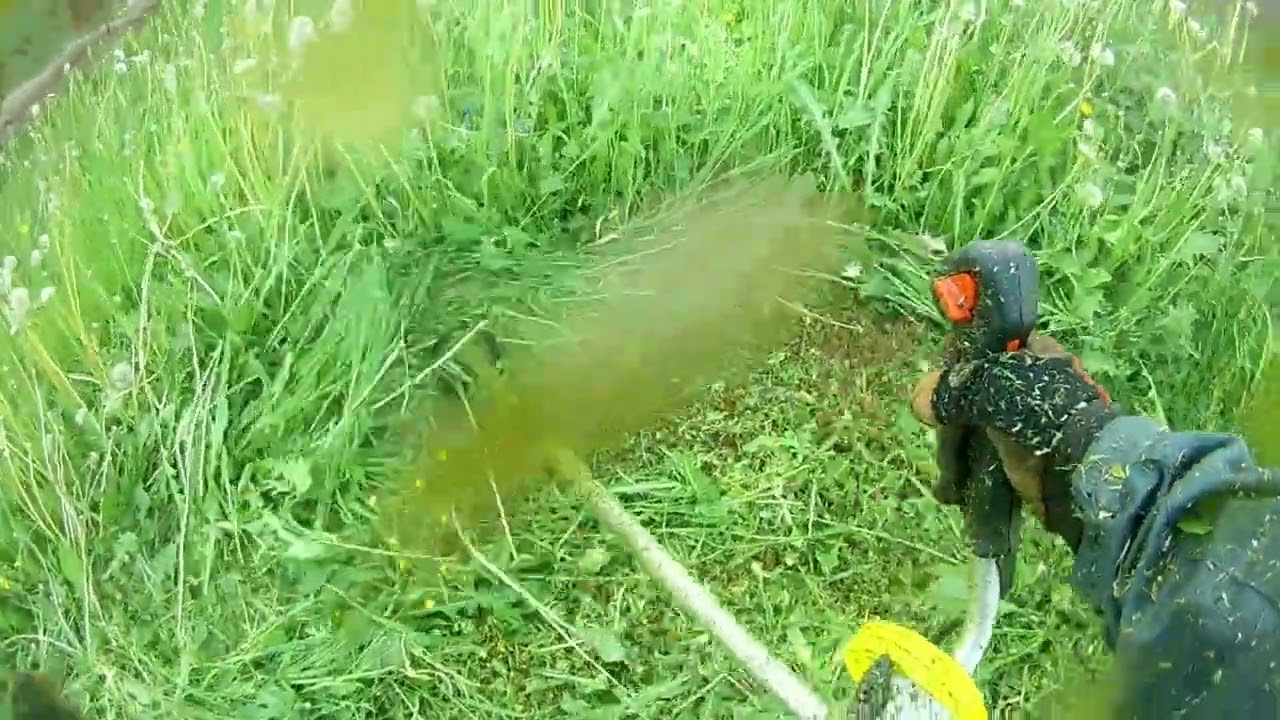 ZimAni FS450K тест - покос. Валим одуваны.#zimani #stihl