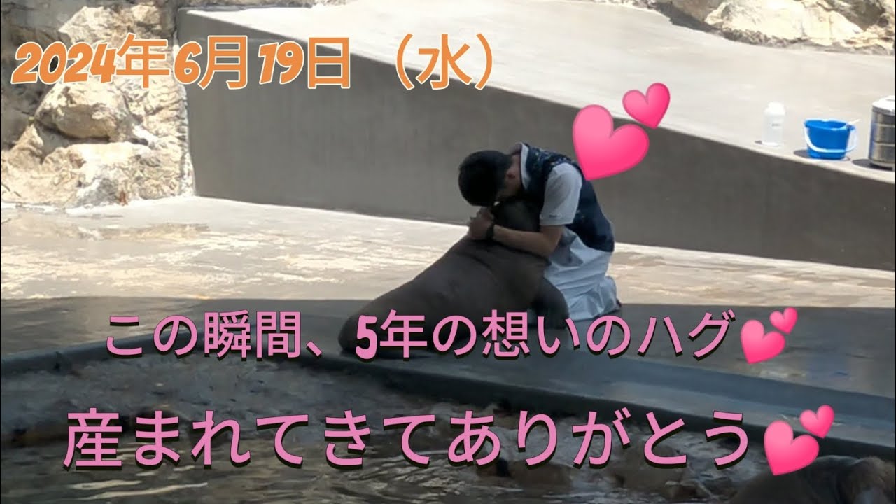 うみたまご2024年6月19日希望の天使ちゃん、産まれてきてありがとう。5年の軌跡