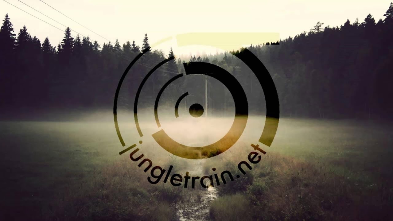 Pixl, Hollie Anthwax & DJ Saatchi (Love Love Records) - Jungle Syndicate - LIVE from Leeds, UK