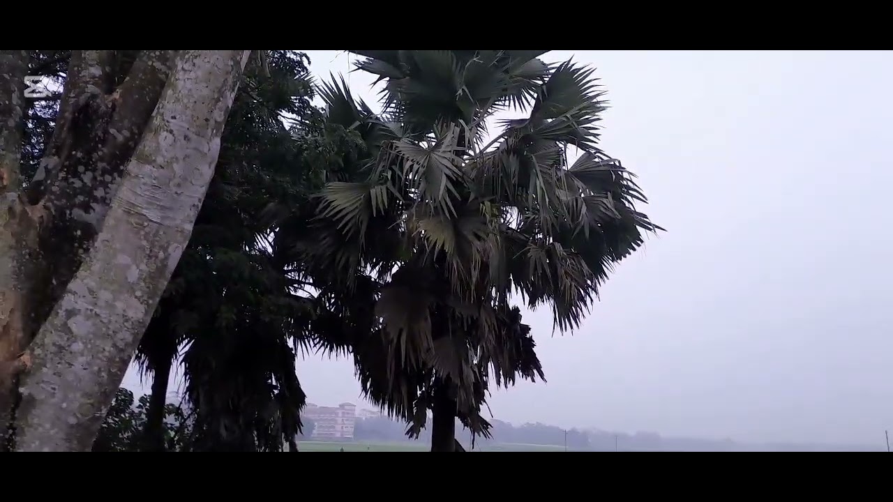 গ্রাম বাংলার শীতের সকাল 🥶🥶🇧🇩