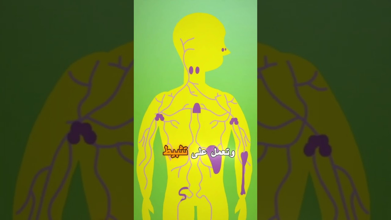 Les Cortico&iuml;des مضادات الإلتهاب الستيرويدية