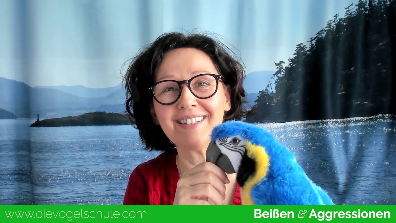 Beisshemmung bei Papageien & Sittichen