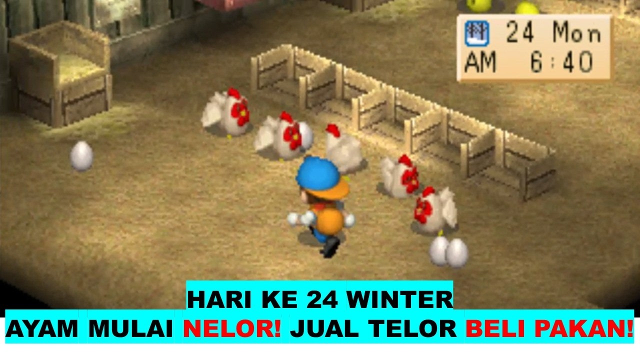 HARVEST MOON BACK TO NATURE HARI 24 WINTER SAYAM NELOR! SAATNYA DIJUAL UNTUK BELI PAKAN!!!