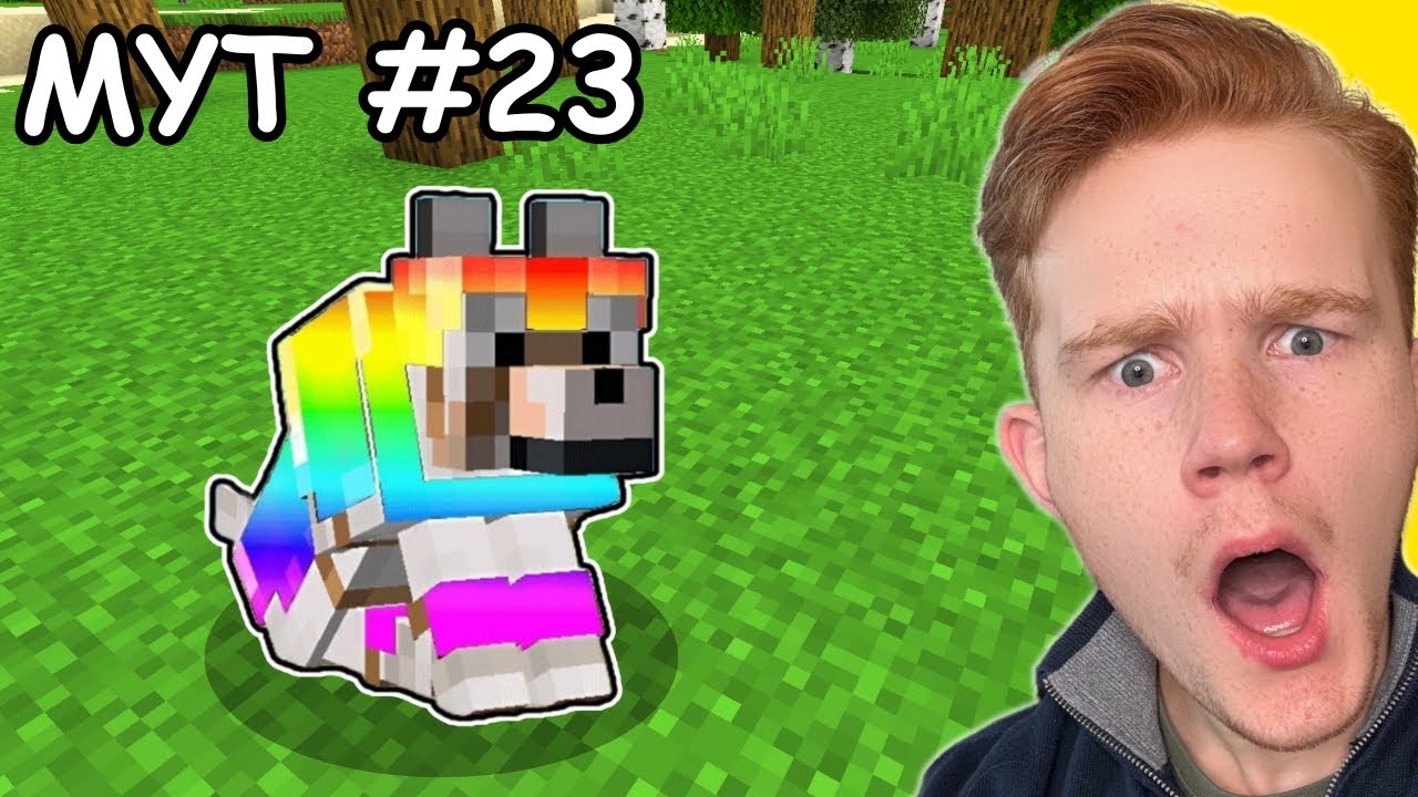 Testar 24 Minecraft Myter På 24 Timmar!