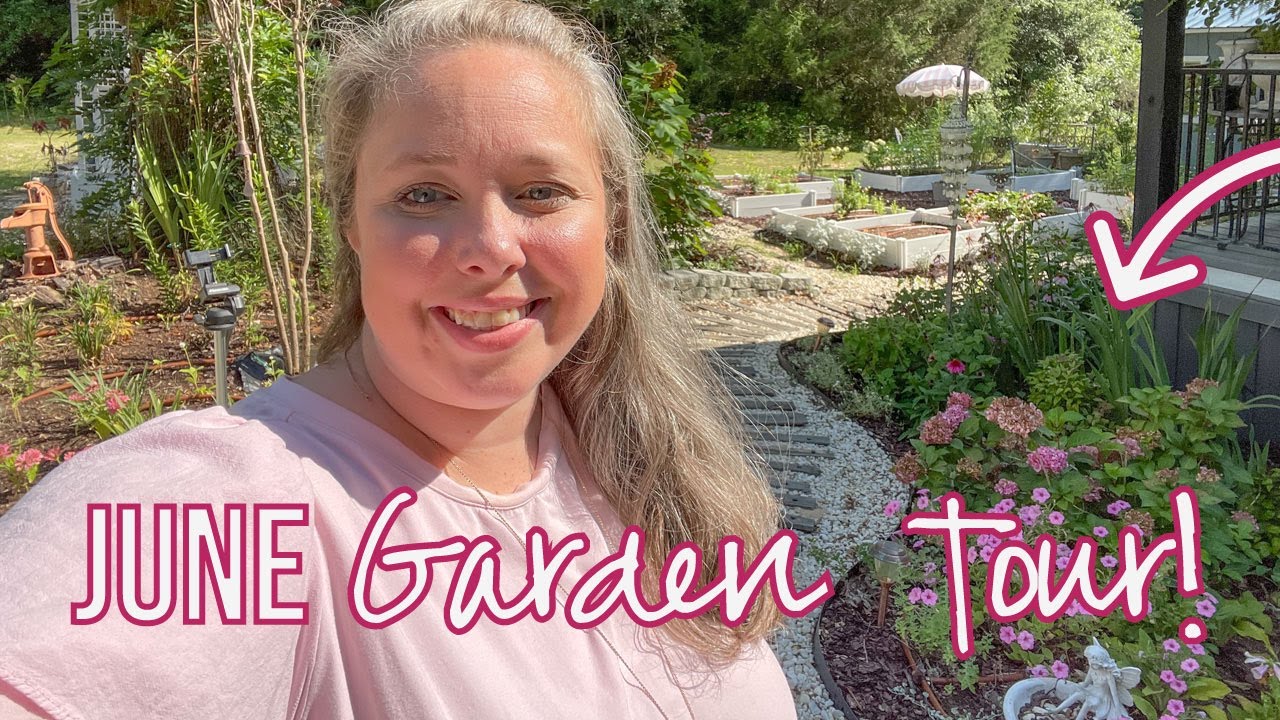 June Garden Tour (Little Lime Punch, Cosmos, Petunias, Lantana, Silver Falls Dichondra)(Zone 8b)