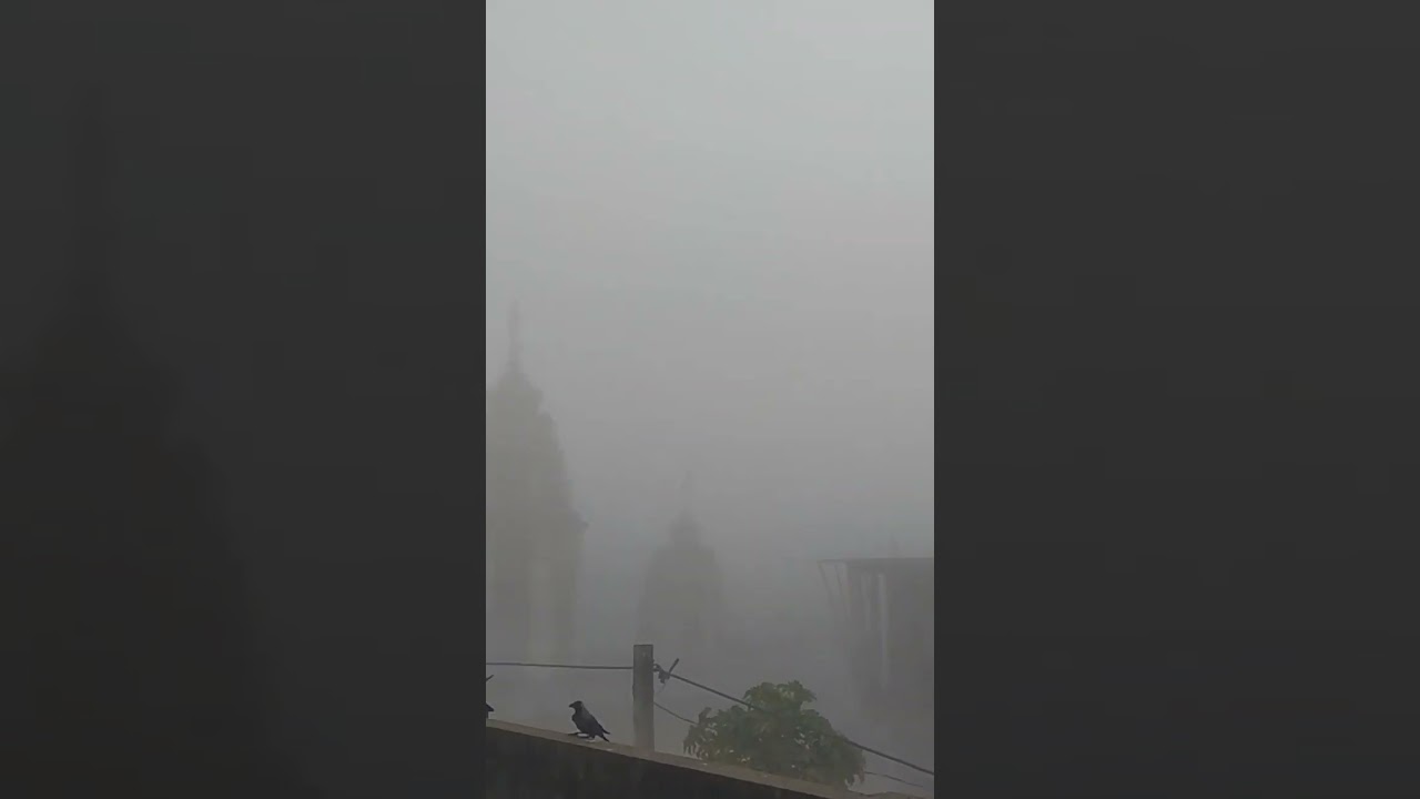 #Foggywinter