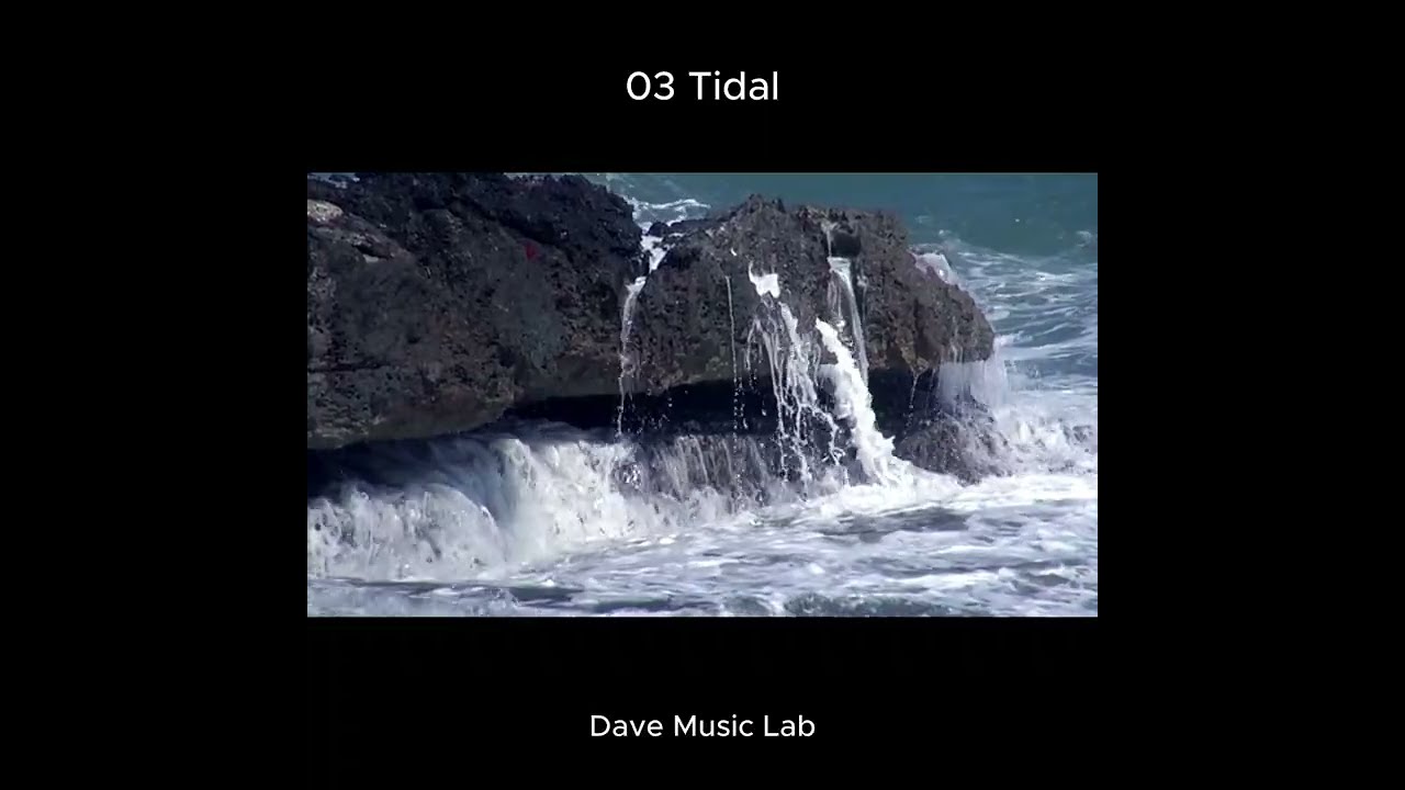 03 Tidal By Dave Music Lab