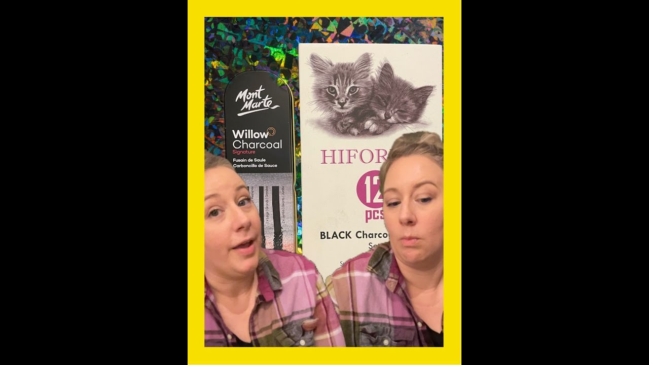 Mont Marte Willow Charcoal and Hiforny Charcoal Pencil Review