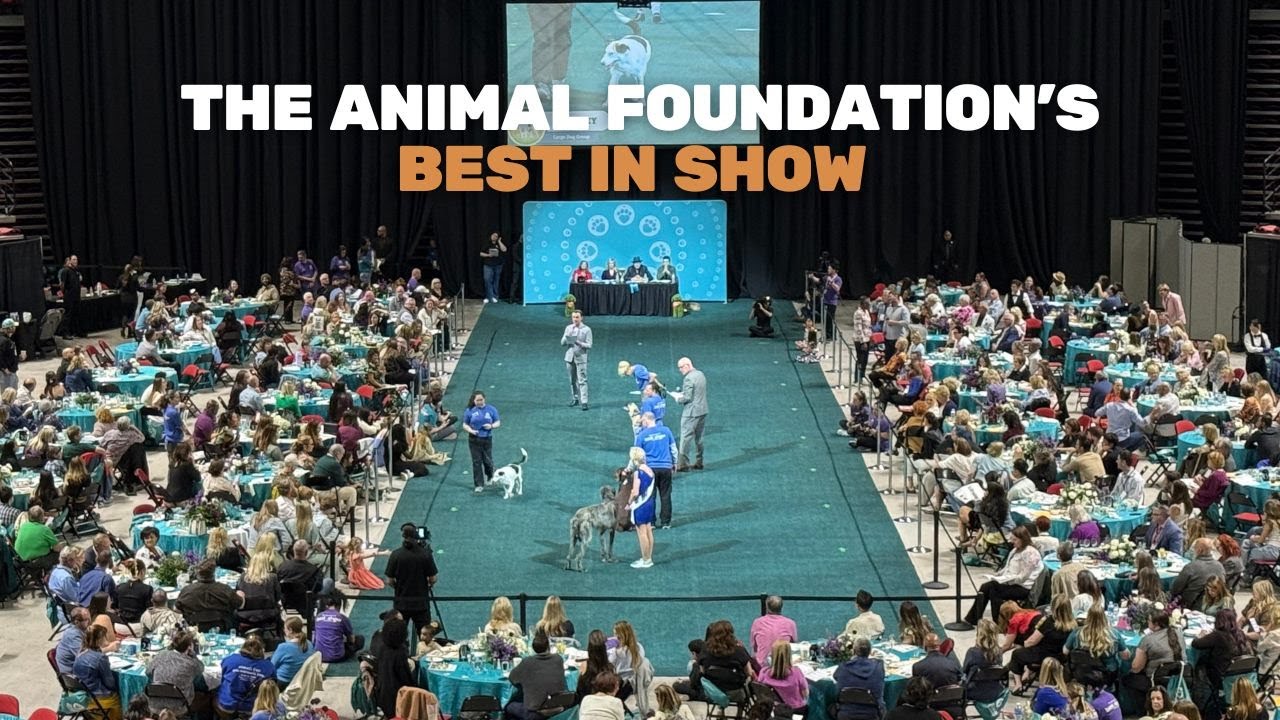 Event Recap: Animal Foundation's Best in Show
