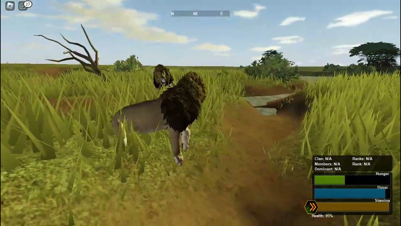 Lions fighting for dominance! ROBLOX Wild Savanna