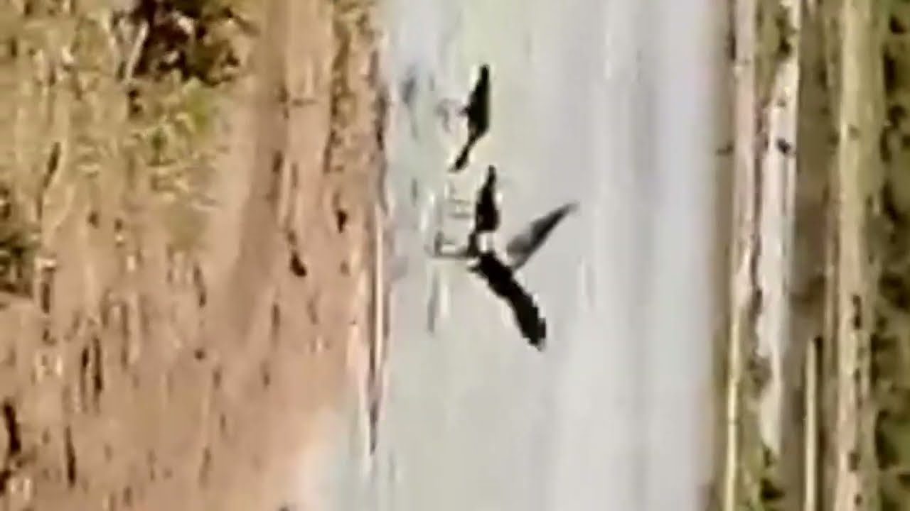 مناضر طبعية