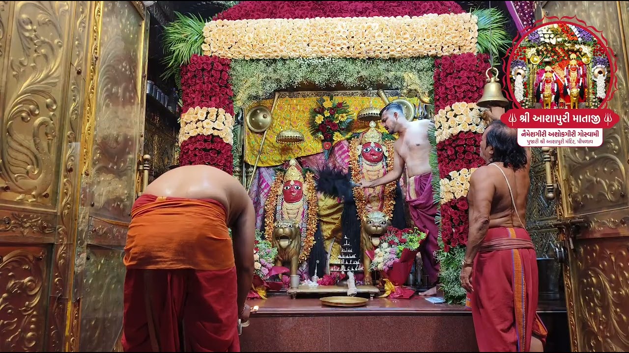 Aarti Darshan Shree Ashapuri Mataji Piplav Dham !!શ્રી આશાપુરી માતાજીના પ્રાગટ્ય દિવસ ની મહા આરતી!!