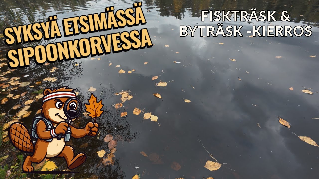 Fisktr&auml;sk & Bytr&auml;sk - Syksy&auml; etsim&auml;ss&auml; Sipoonkorvessa