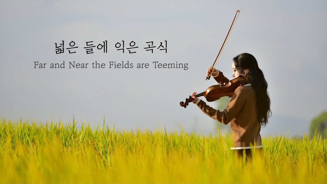 넓은 들에 익은 곡식 🌾 | suyeon violin