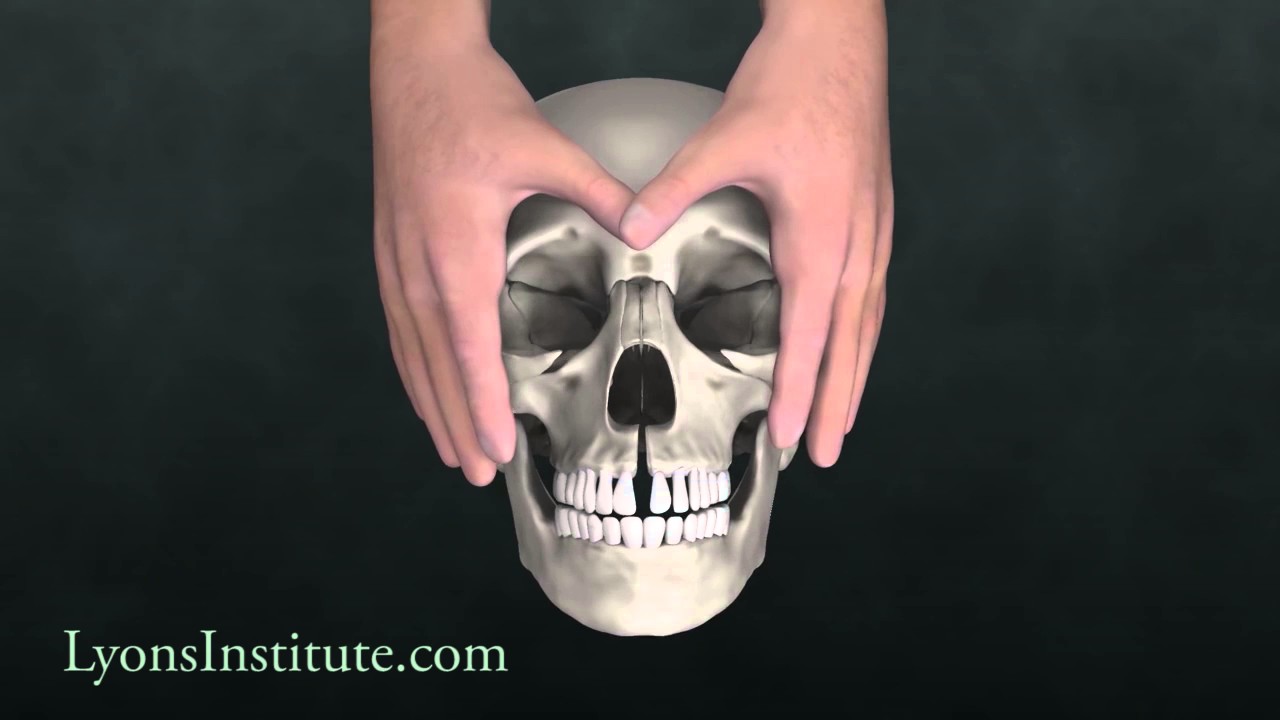 Biodynamic Craniosacral Therapy: The Hard Palate - Orbital Hold