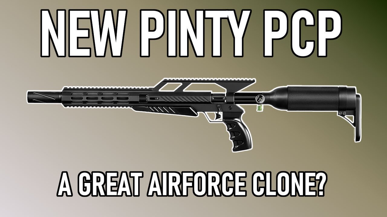 Pinty 22 Cal PCP: Full Chronograph and Accuracy Review